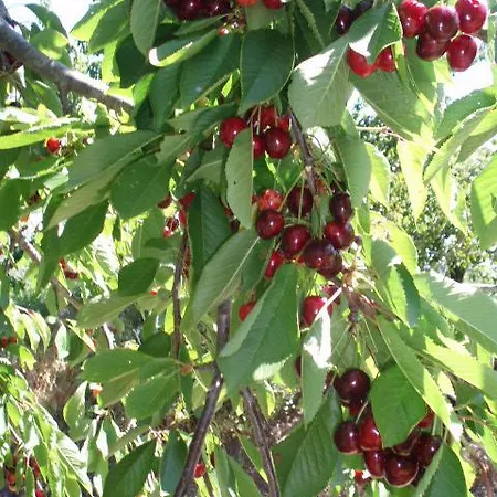 Nyaraló Casa Entre Serras *