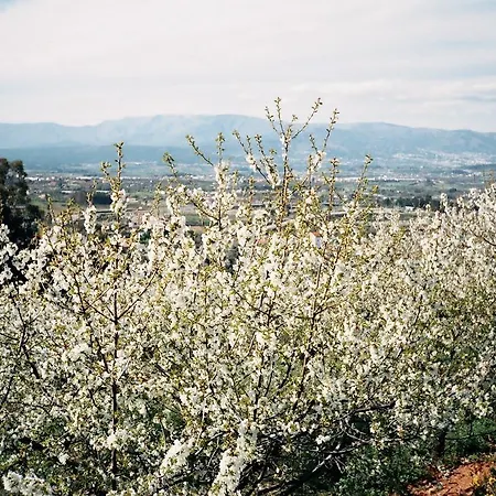 Casa Entre Serras Сasa de vacaciones Donas