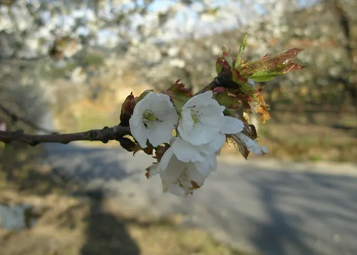 Casa Entre Serras Дом отдыха