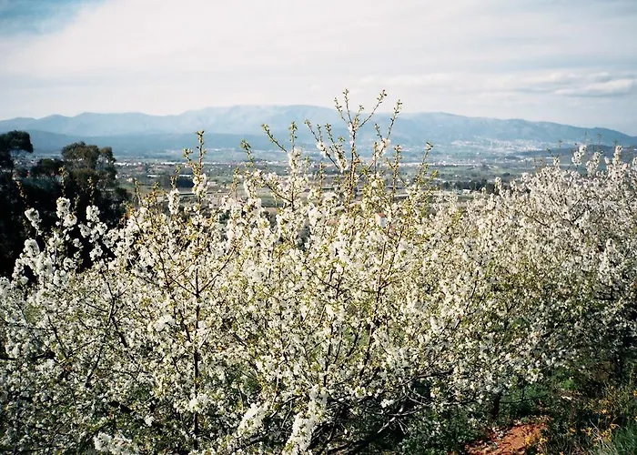 Casa Entre Serras Дом отдыха Donas